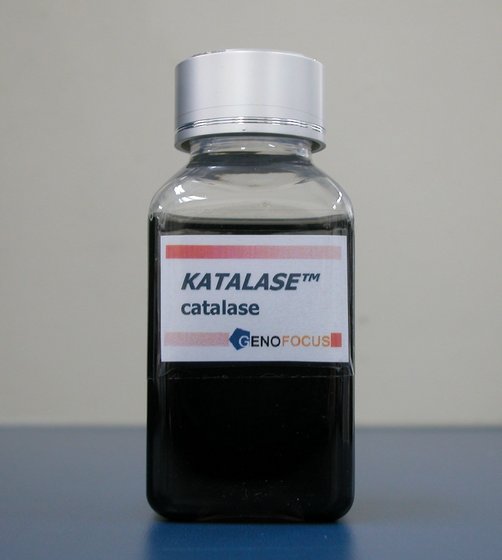 Katalase, High Specific Activity Catalase  Made in Korea